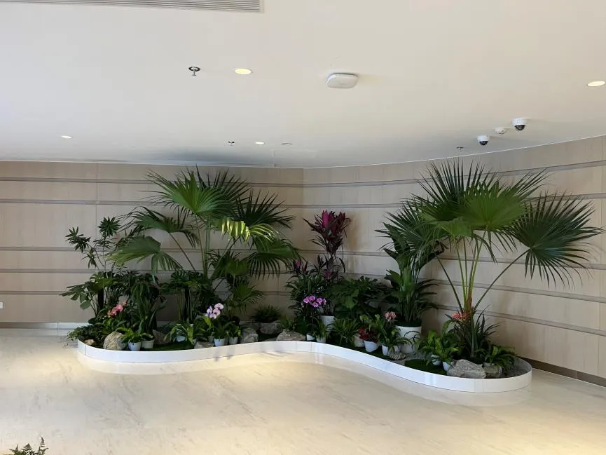 探索江北花卉出租方案，开启别样花卉之旅